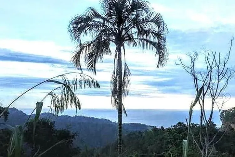 Suasana kampung Baduy Cisimeut (dok Heru Nugroho)