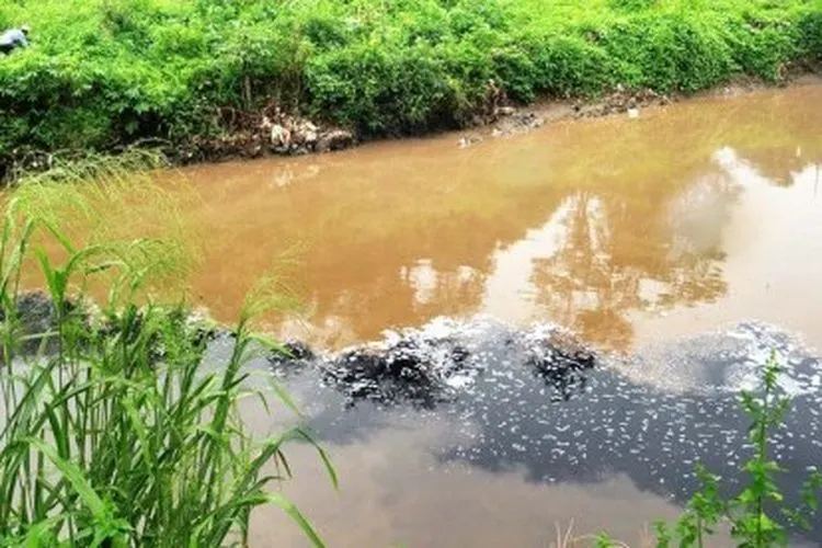 Sungai Ciliwung Depok (republika.co.id)