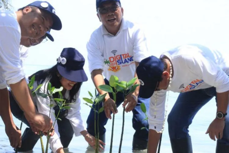 Tanam Bakau di Pulau Tidung Kecil/Beritajakarta.id