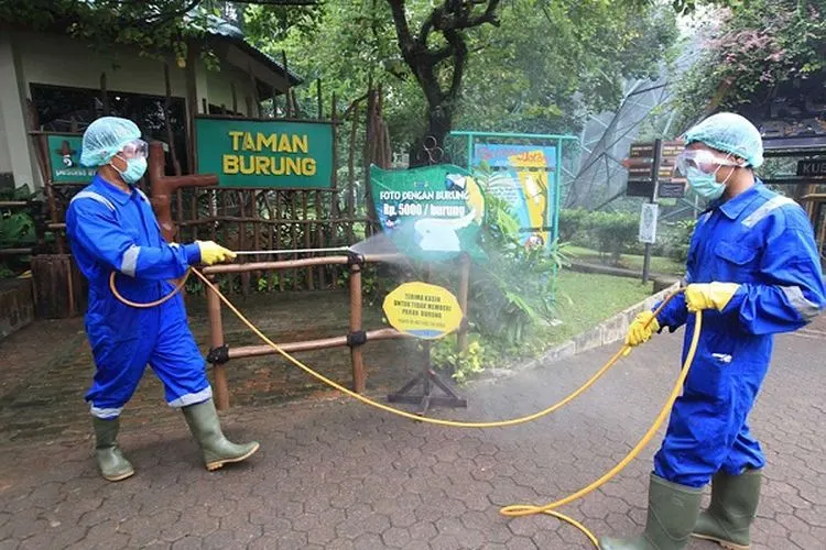 Petugas menyemprotkan cairan disinfektan di Taman Burung, Taman Mini Indonesia Indah, Jakarta Timur, Rabu (18/3/2020). Taman Mini Indonesia Indah membersihkan setiap anjungan dan wahana hiburan yang ada untuk mengantisipasi wabah COVID-19. (Kontan/Baihaki)