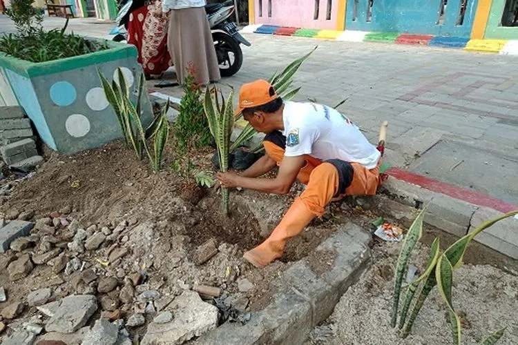 Penanaman tumbuhan penyerap polusi udara di wilayah Kelurahan Pulau Untung Jawa (pulauseribu.jakarta.go.id)