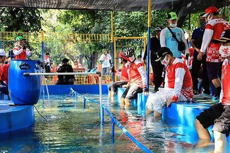 Kolam terapi ikan di Setu Babakan, Kecamatan Jagakarsa Jakarta Selatan dibuka gratis untuk umum/ instagram: @kominfotikjs