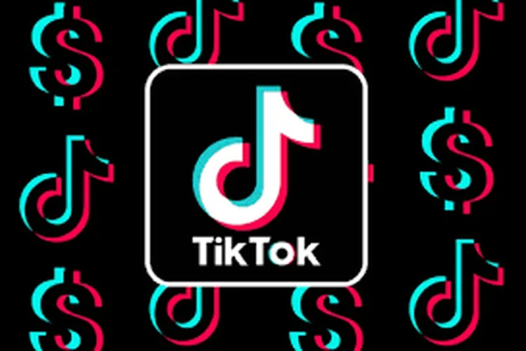 Aplikasi TikTok (dok)