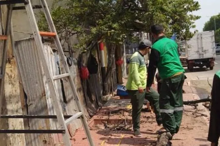 Petugas Sudin Kehutanan Jakbar menebang dan memangkas pohon yang rawan tumbang/barat.jakarta.go.id