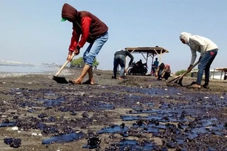 tumpahan minyak di Kepulauan Seribu/National Gerographic Indonesia
