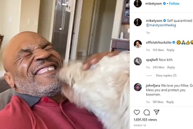 Petinju legendaris dunia, Michael Gerard Tyson alias Mike Tyson. instagram: @miketyson