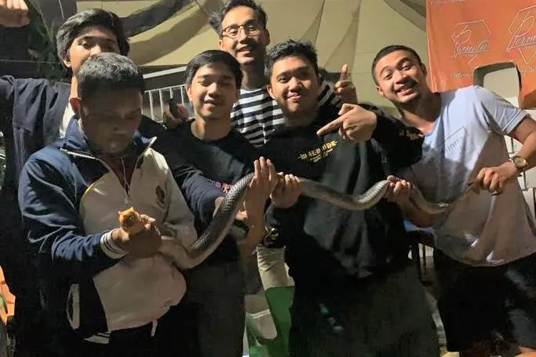 Ular kobra jawa yang berhasil ditangkap warga (istimewa)
