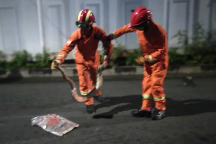 Petugas menangkap ular sanca (Beritajakarta.id/Mustaqim Amna)