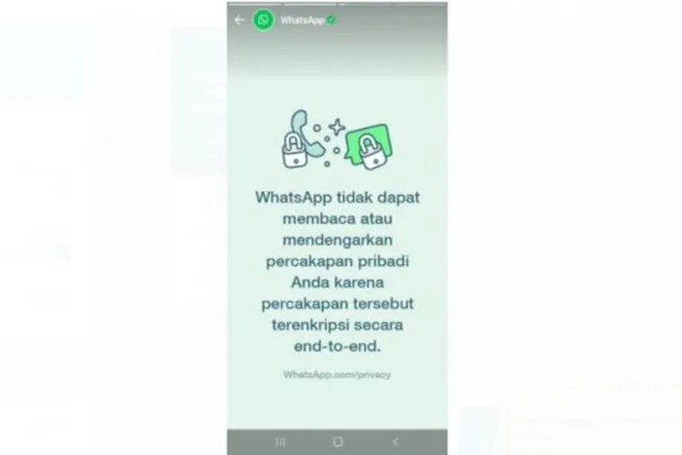 WhatsApp berikan update lewat status. [Screenshot/Lintang Siltya Utami]