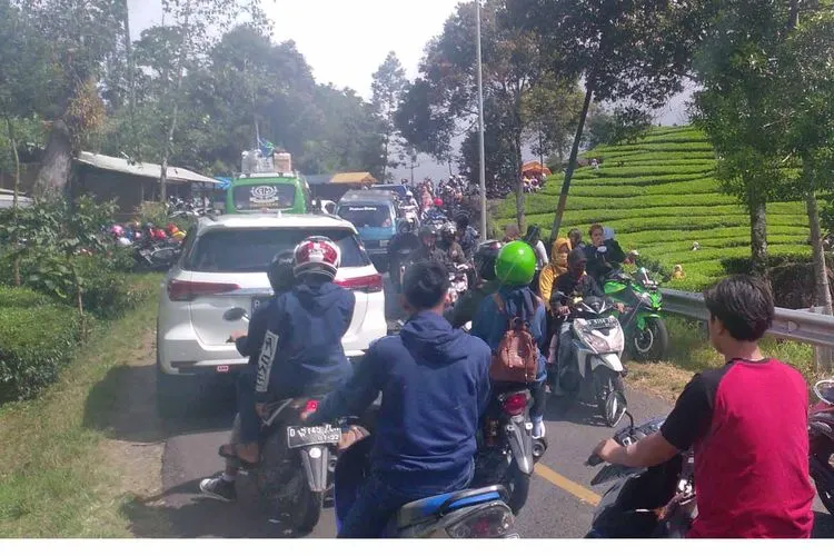 Ribuan wisatawan padati kebun teh di kawasan wisata selatan Kabupaten Bandung. (Ayobandung.com/Mildan Abdalloh)