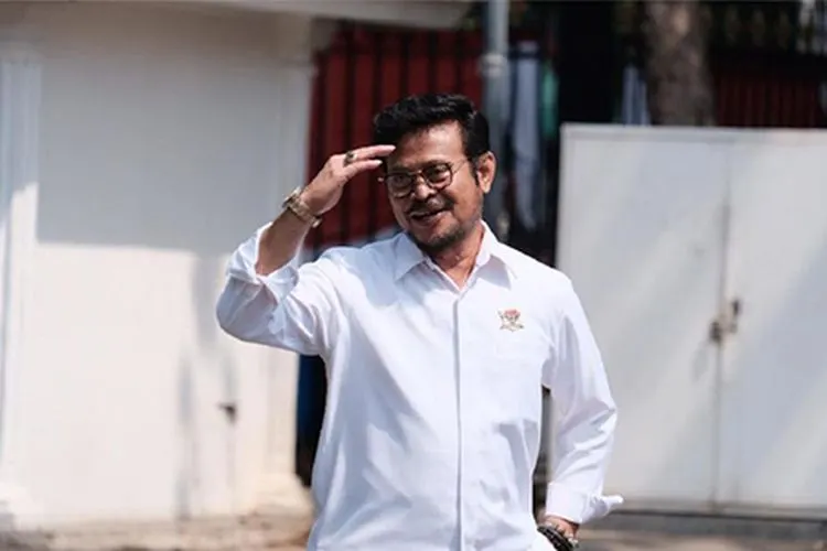Syahrul Yasin Limpo/Detik.com