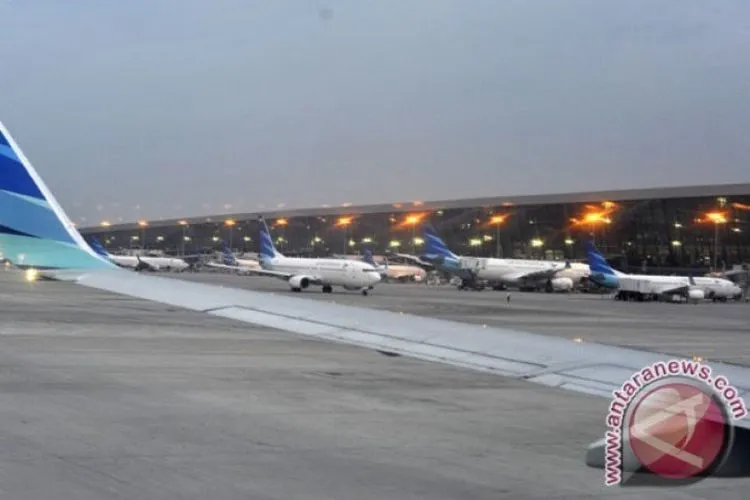 Garuda Indonesia (Antara)