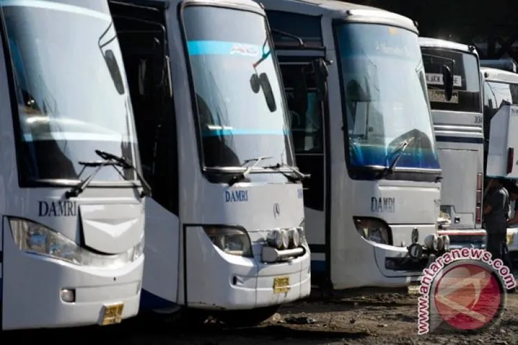 Bus Damri (Antara)