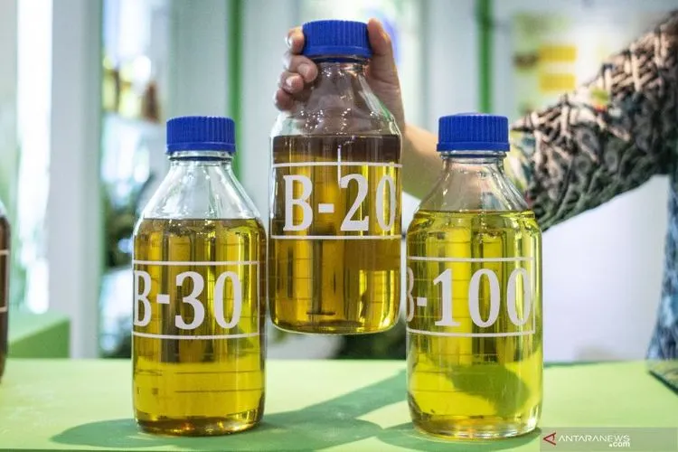 Petugas menunjukkan sampel bahan bakar minyak (BBM) B-20, B-30, dan B-100 di Jakarta, Selasa (26/2/2019). Menteri Badan Usaha Milik Negara (BUMN) Rini Soemarno mengatakan, bahwa Indonesia dapat menggunakan campuran dari bahan nabati seperti minyak sawit dalam solar hingga 100 persen atau biodiesel 100 (B-100) pada tiga tahun mendatang. ANTARA FOTO/Aprillio Akbar/pras.