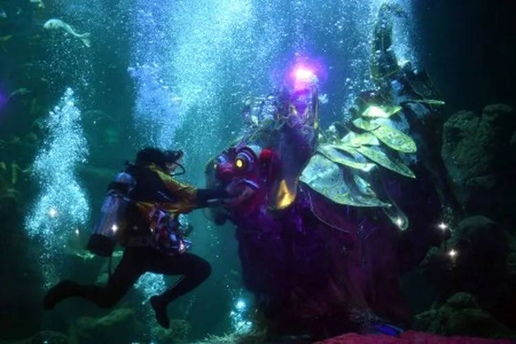 Atraksi barongan dalam air menghibur pengunjung di akuarium SeaWorld Ancol, Jakarta, Senin (4/3/2019). Sea World Ancol menampilkan pertunjukan budaya Barongan dalam air bertajuk 