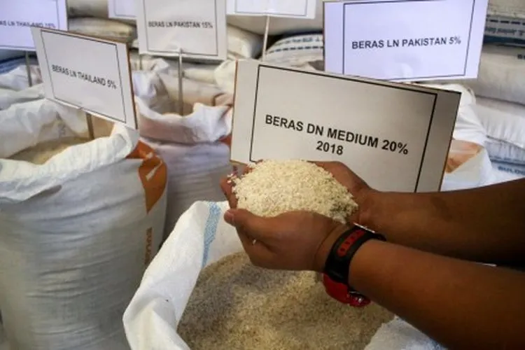 Pekerja menunjukkan jenis beras di Gudang Bulog Divre Jatim, Buduran, Sidoarjo, Jawa Timur, Kamis (23/5/2019). Persediaan bahan pokok terutama beras dan gula di Jawa Timur selama beberapa bulan mendatang tercatat dalam kondisi aman, yaitu terdiri atas stok beras sebesar 621.899 ton dan stok gula sebanyak 1.614 ton. ANTARA FOTO/Umarul Faruq/foc.
