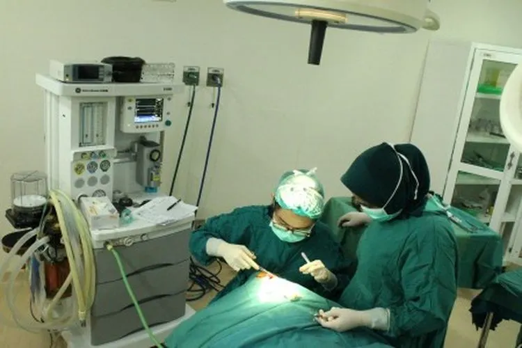 Dokter melakukan proses operasi bibir sumbing seorang anak saat kegiatan donasi operasi bibir sumbing dan langit langit sumbing, di RS Hermina, Galaxy, Bekasi, Jawa Barat, Sabtu (25/5/2019). Operasi gratis bibir sumbing melalui program Lazada Berkah untuk semua yang berlangsung sejak 14-16 Mei 2019 itu sedikitnya membantu 200 anak yang bertujuan untuk memberikan senyum baru bagi anak anak Indonesia. ANTARA FOTO/Risky Andrianto/hp.