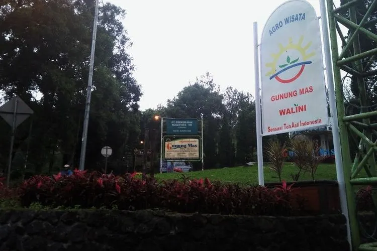 Agrowisata Gunung Mas.