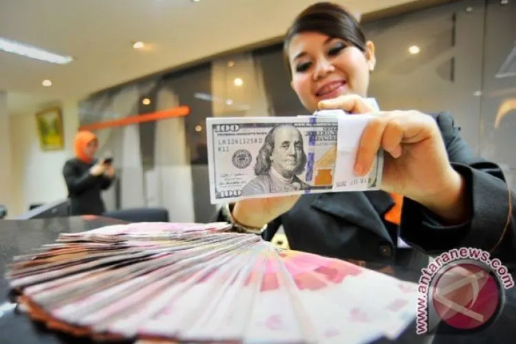 Petugas menghitung uang dolar AS di Jakarta (ANTARA FOTO/Yudhi Mahatma)
