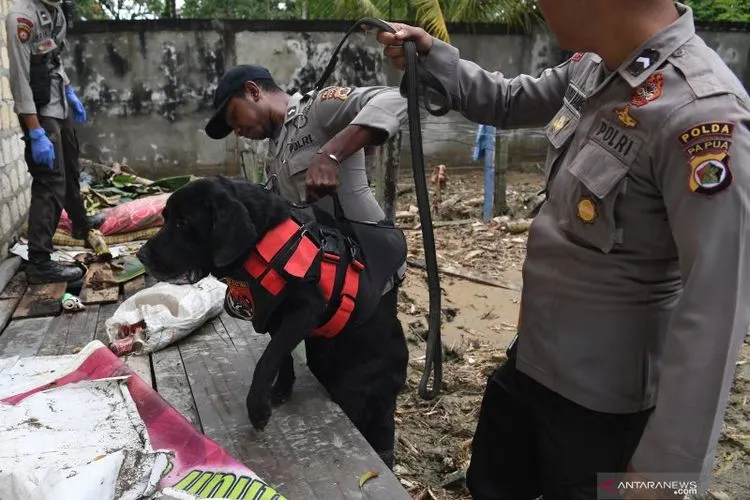 Anjing Pelacak (Antara)