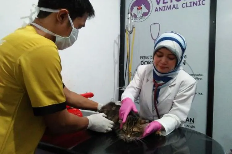 Mengintip Klinik Kesehatan Hewan Vetopet Animal Clinic. (ayobogor.com)