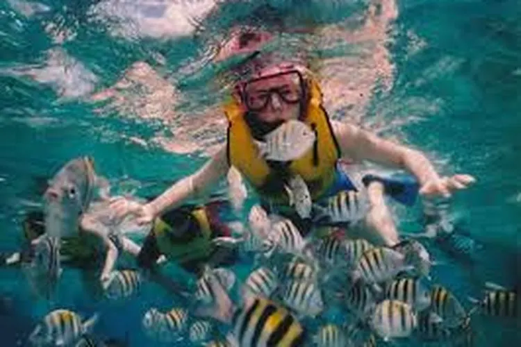 Ilustrasi Snorkling (pixabay)