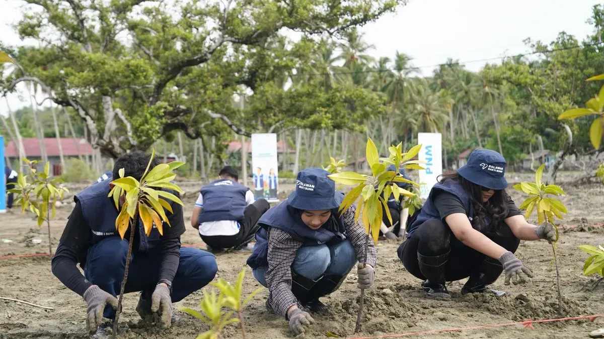 PT Permodalan Nasional Madani (PNM) terus berkomitmen untuk mendukung keberlanjutan Program penghijauan ini dilakukan tersebar di berbagai wilayah Indonesia. (Sumber: Istimewa | Foto: Istimewa)