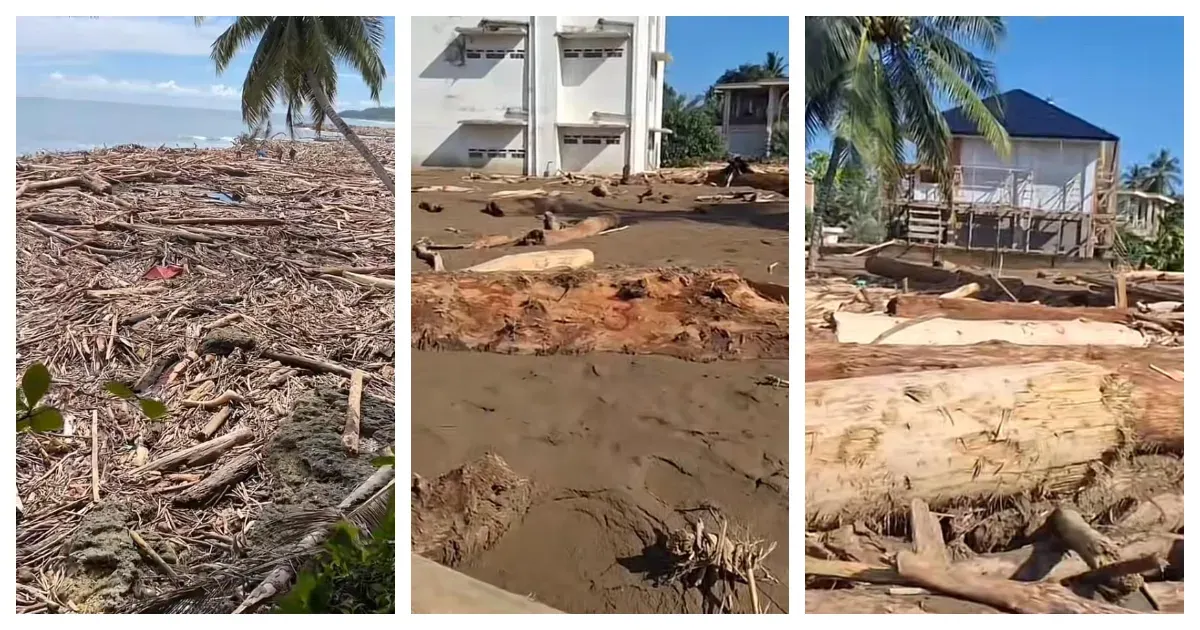 Kayu Gelondongan di Banjir Sumatera (Sumber: TikTok @Irfan Hulu dan @maidah0931)