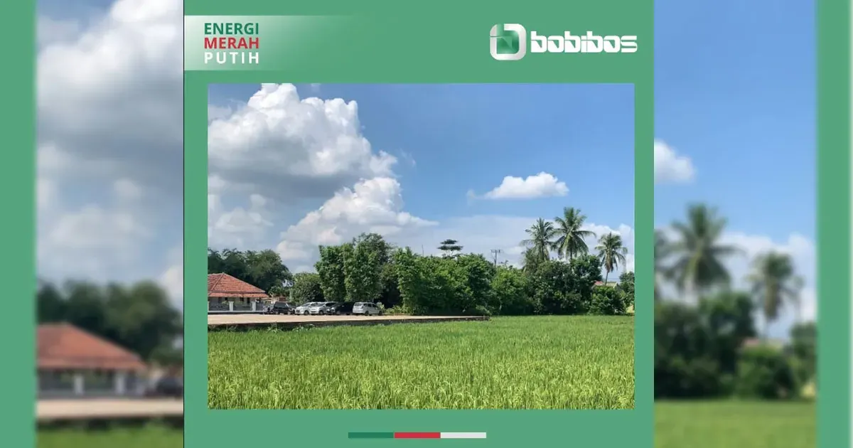 BOBIBOS Ungkap Alur Pembuatan Bahan Bakar dari Jerami di Lembur Pakuan (Sumber: Instagram @bobibos_)