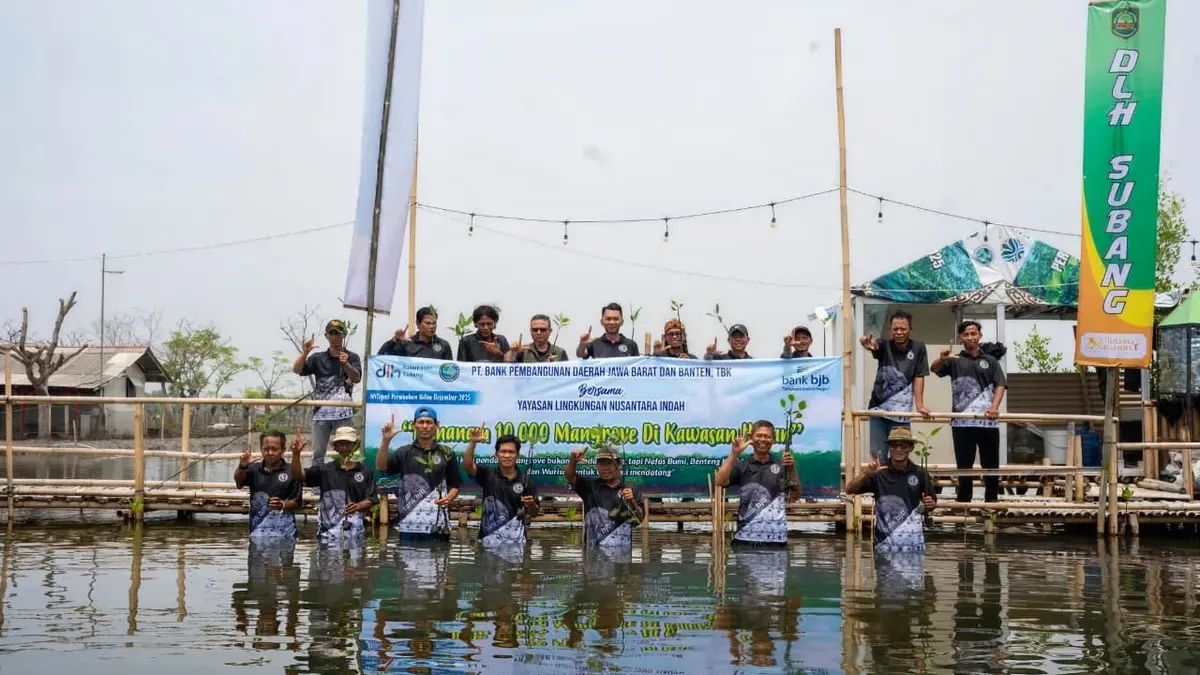 Hutan Mangrove Baru Subang Tumbuh! Berkat Bantuan Bank BJB, Wilayah Pesisir Siap Menjadi Lebih Hijau