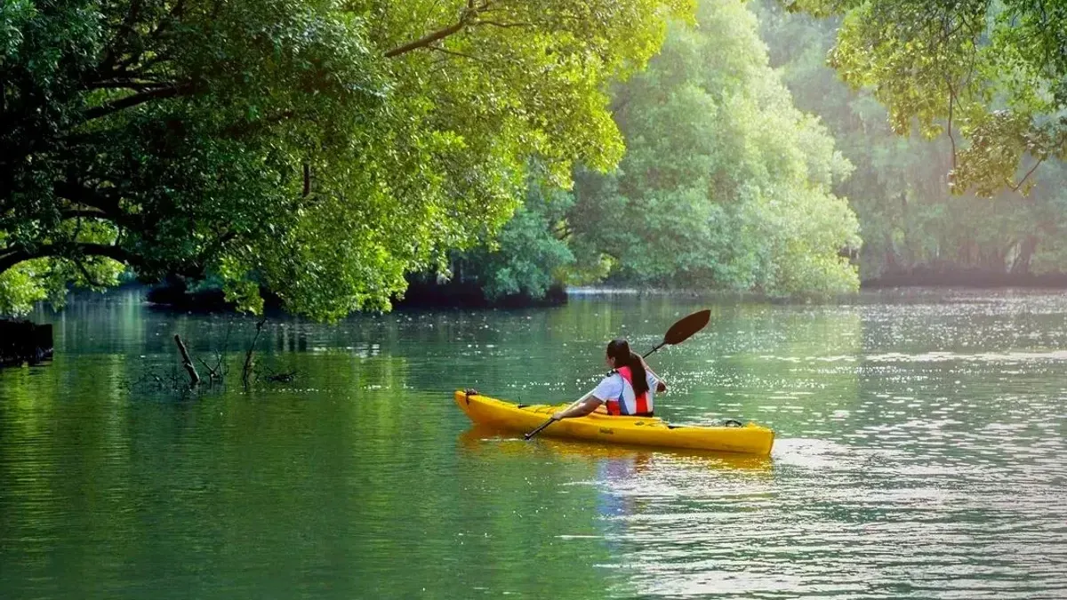 Taman Wisata Alam Mangrove Angke Kapuk, Salah Satu Rekomendasi Tempat Wisata di Jakarta. (Sumber: jakartamangrove.id)