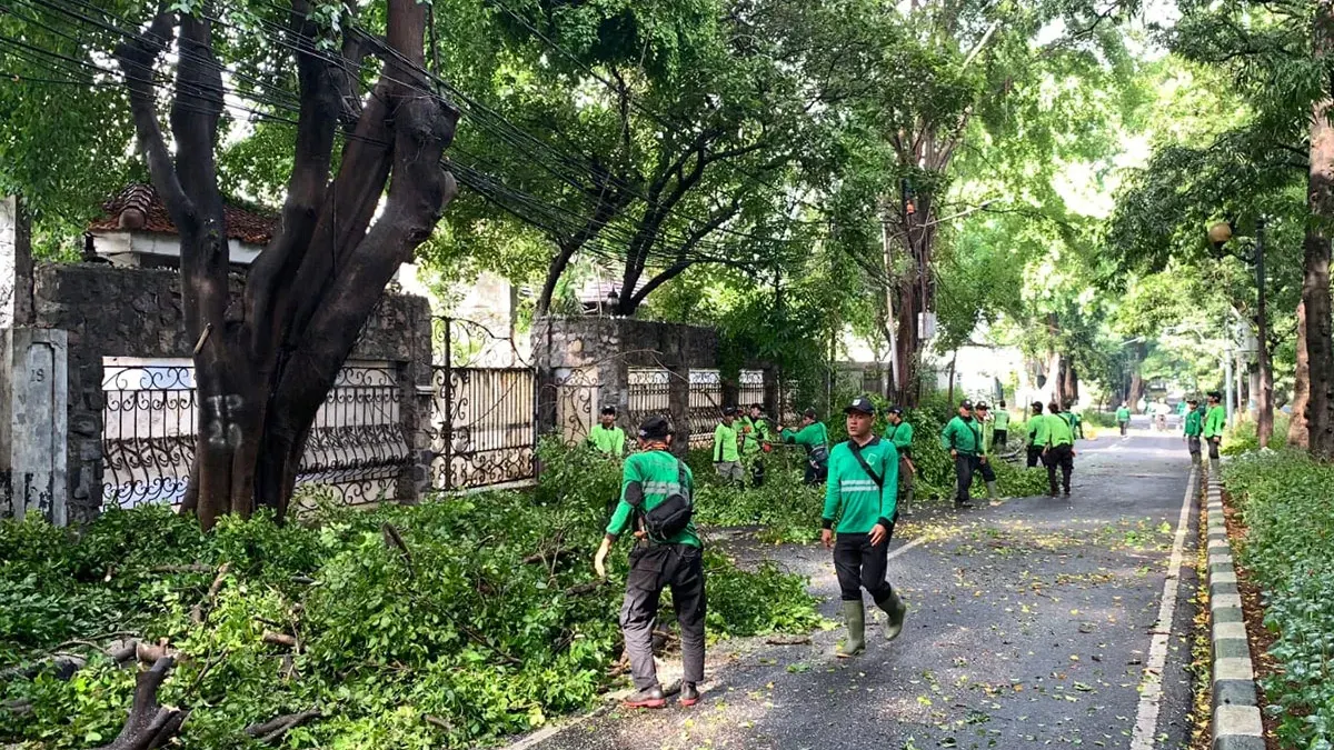 Dinas Pertamanan dan Hutan Kota DKI Jakarta menyiagakan Posko Pohon Tumbang selama 24 jam penuh. (Sumber: beritajakarta.id | Foto: beritajakarta.id)