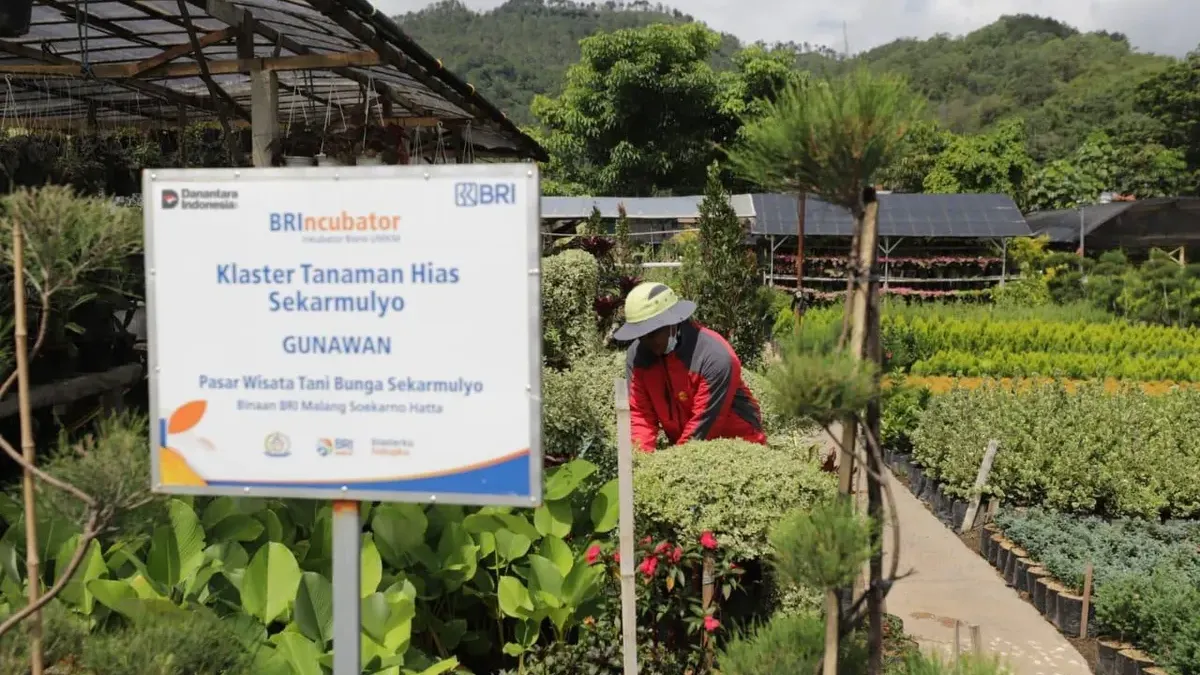 Lonjakan Pembiayaan! 34,5 Juta UMKM Rasakan Dampak Program Ultra Mikro BRI