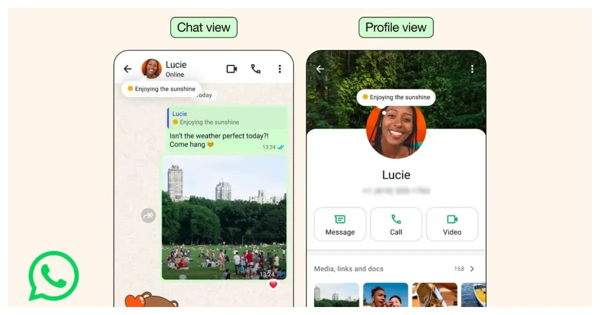 Fitur About WhatsApp Mirip Seperti di Instagram (Sumber: WhatsApp)