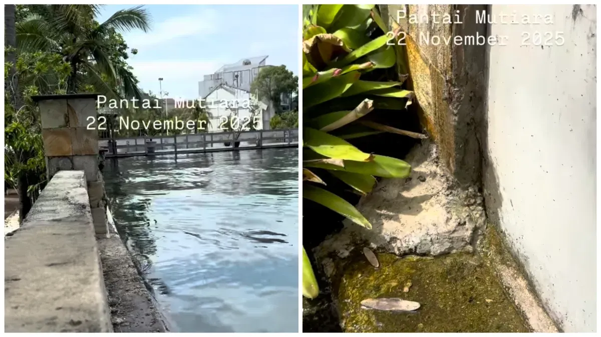 Viral video tanggul Pantai Mutiara Jakarta Utara yang mengkawatirkan akan jebol. (Sumber: Instagram @nikoatmaja | Foto: Instagram @nikoatmaja)