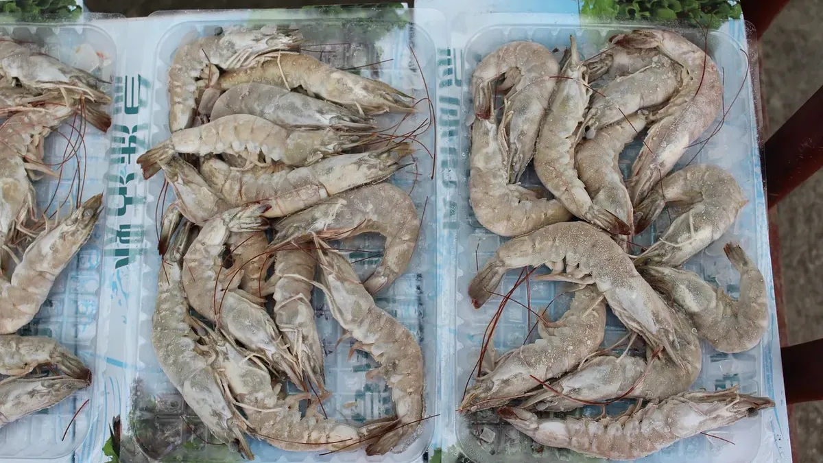 Ilustrasi. Deretan fakta kasus udang beku radioaktif CS-137 di Cikende yang kini menjadi sorotan. (Sumber: Pixabay | Foto: Pixabay)