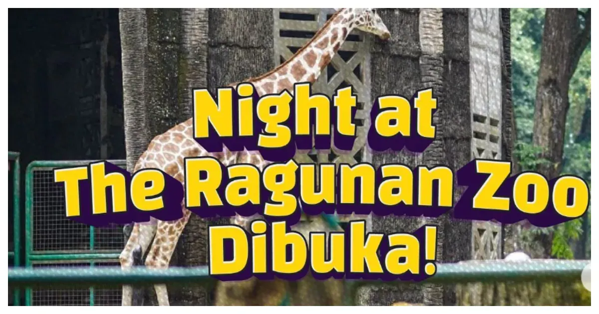 Night at the Ragunan Zoo, Wisata Malam Taman Margasatwa Ragunan (Sumber: Instagram @dkijakarta)