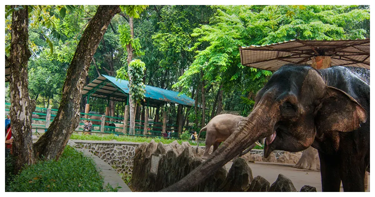 Taman Margasatwa Ragunan (Sumber: ragunanzoo.jakarta.go.id)