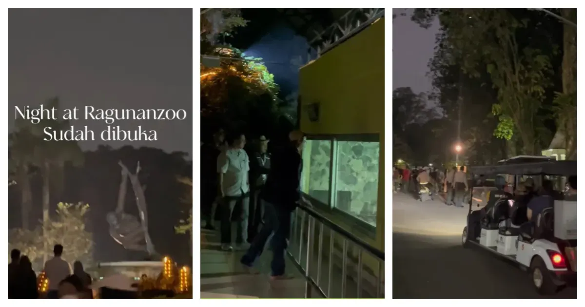 Wisata Malam Taman Margasatwa Ragunan atau Night at the Ragunan Zoo (Sumber: Instagram @ragunanzoo)