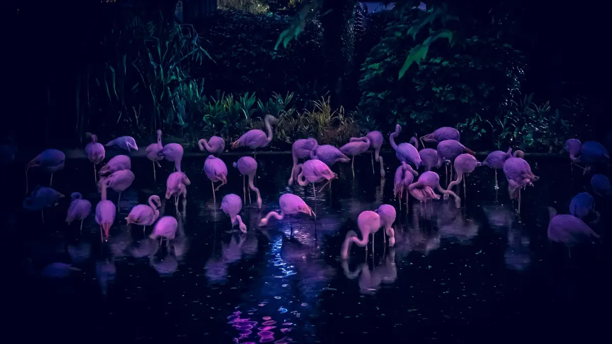 Ilustrasi Wisata Malam di Kebun Binatang Ragunan. (Sumber: Unsplash/Anatoliy Gromov)