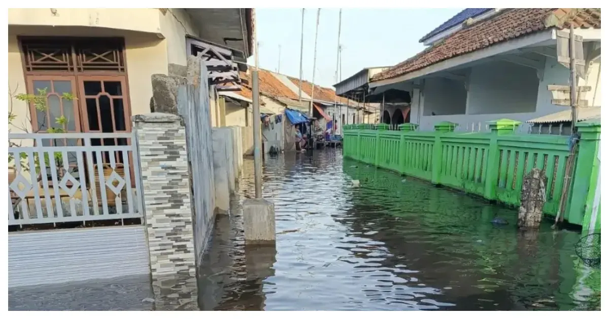 Ilustrasi. Banjir Rob (Sumber: bnpb.go.id)
