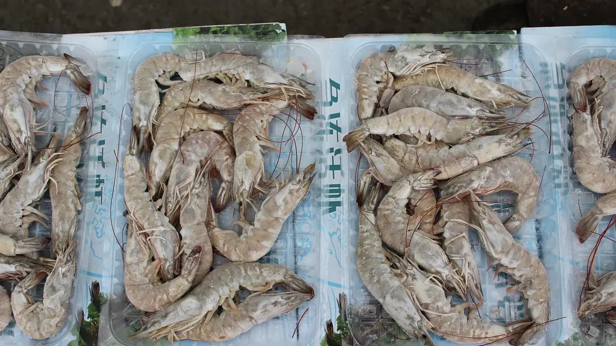 Ilustrasi Udang Beku yang Tercemar Radioaktif. (Sumber: Pixabay/Tankerer)
