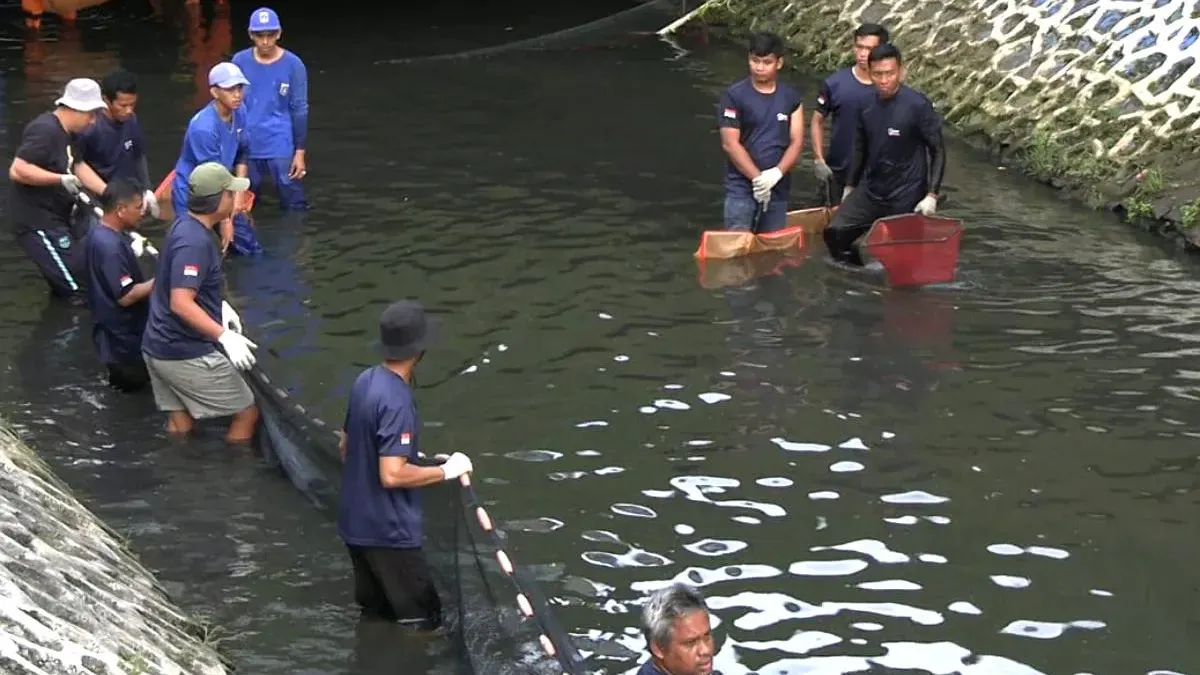 Operasi gabungan penangkapan ikan sapu-sapu dari Dinas Ketahanan Pangan, Kelautan, dan Pertanian (KPKP) DKI Jakarta (Sumber: beritajakarta.id | Foto: beritajakarta.id)
