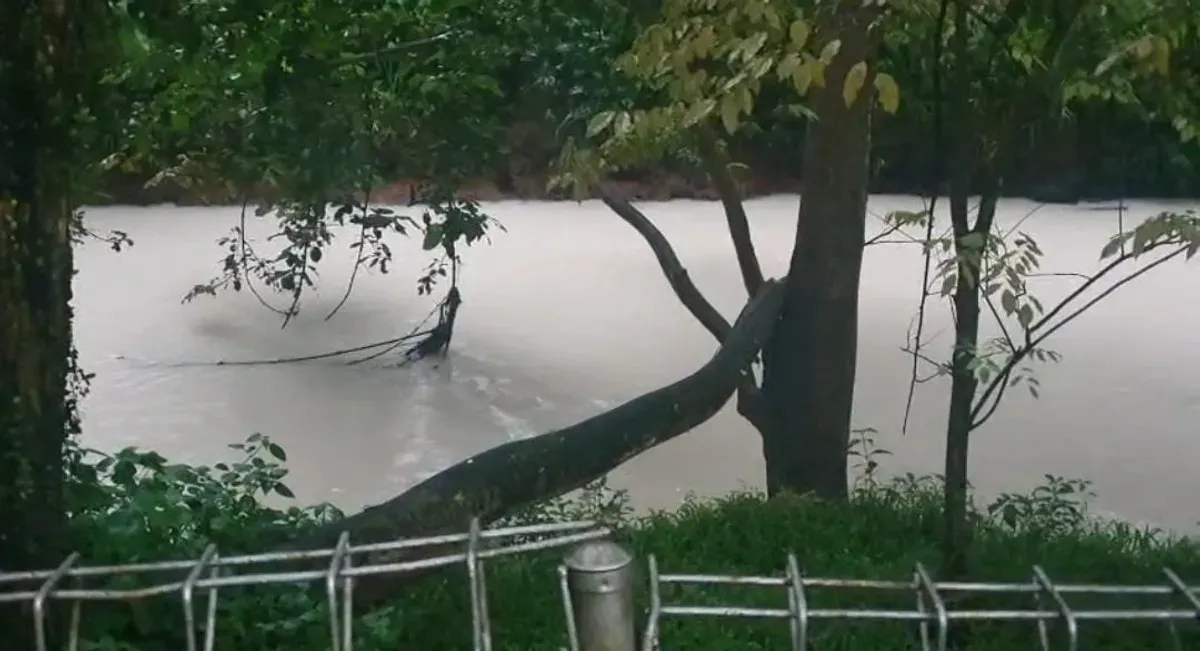 Sungai Cisadane diduga terdampak pestisida hingga menyebabkan pencemaran air yang berbahaya bagi masyarakat. (Sumber: x@MFaizGhifari | Foto: x@MFaizGhifari)