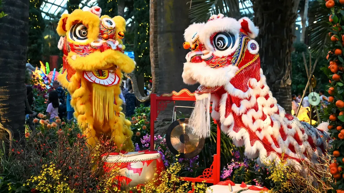 Jadwal Pertunjukkan Barongsai di Jakarta. (Sumber: Unsplash/Scribbling Geek)