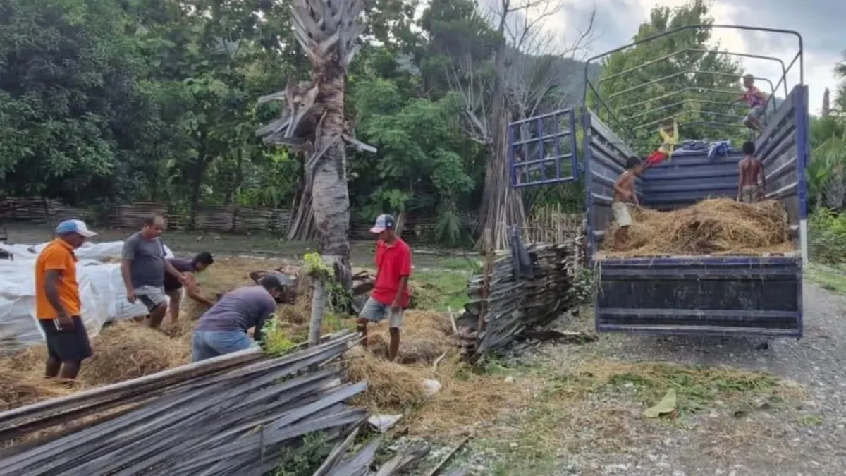 Proses Produksi Bobibos di Timor Leste. (Sumber: Instagram.com/@bobibos_)