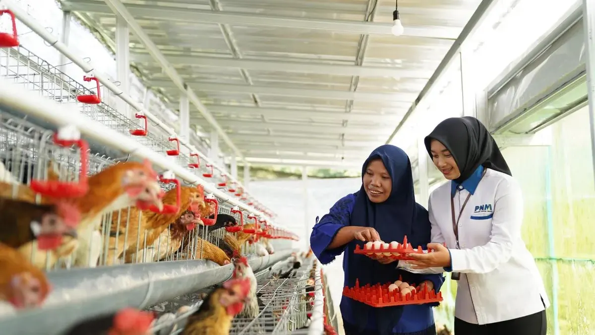 Strategi PNM Tekan Angka Stunting: Rahasia Sukses Program Rumah Pangan di 27 Titik Indonesia