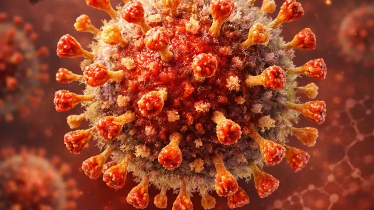 Ramai kasus virus Nipah (NiV) yang berasal dari virus zoonotik. (Sumber: Generate by AI | Foto: Generate by AI)