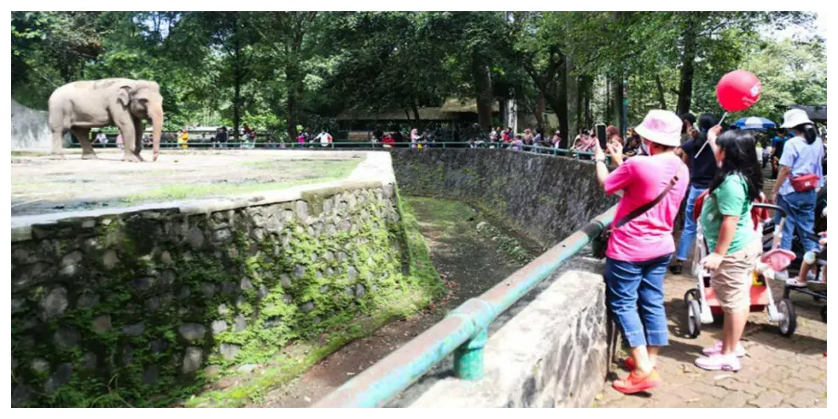 Taman Margasatwa Ragunan (TMR) Ramai Pengunjung (Sumber: beritajakarta.id)