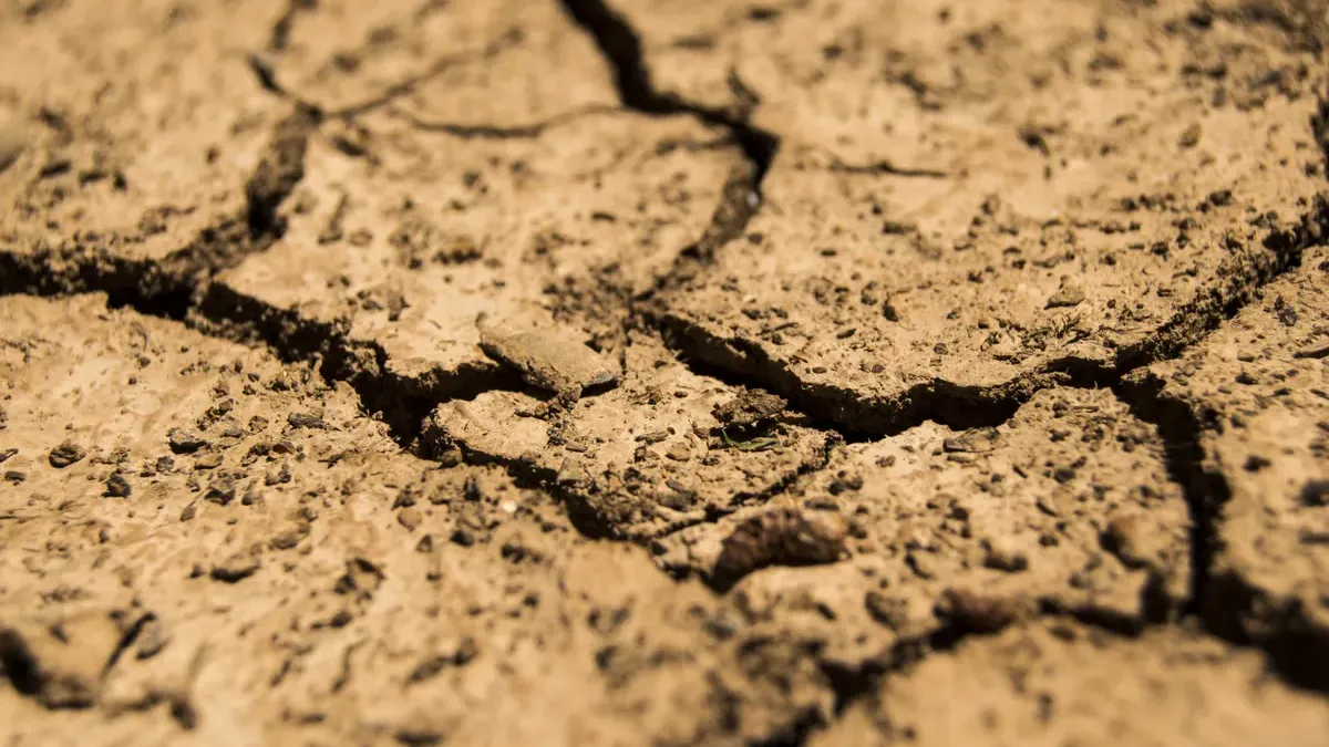 Ilustrasi Kekeringan Dampak El Nino. (Sumber: Pixabay/daeron)